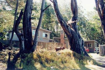 View of the Inn